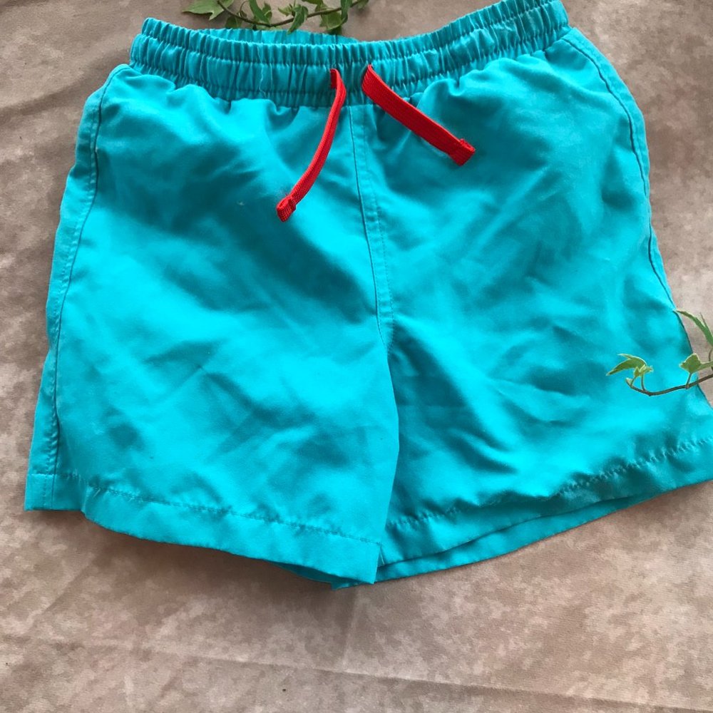 Primary Peacock Blue Swim Trunks 4T-5T